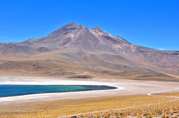 Naklejka premium Panoramic view of Laguna Miscanti - lake located in the altiplano of the Antofagasta Region in northern Chile. Cerro Miniques volcano and Cerro Miscanti in the background. 