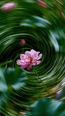 Obraz premium Vibrant pink flower with swirling green background mobile wallpaper.