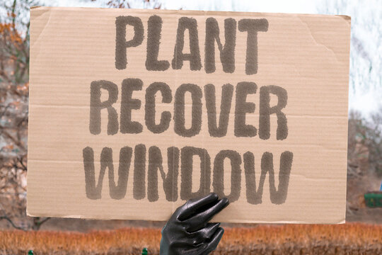"Plant Recover Window" The houseplant declined after being moved near sunlight. DECLINE. RELOCATE. SUNLIGHT. DAMAGE. RECOVERY.