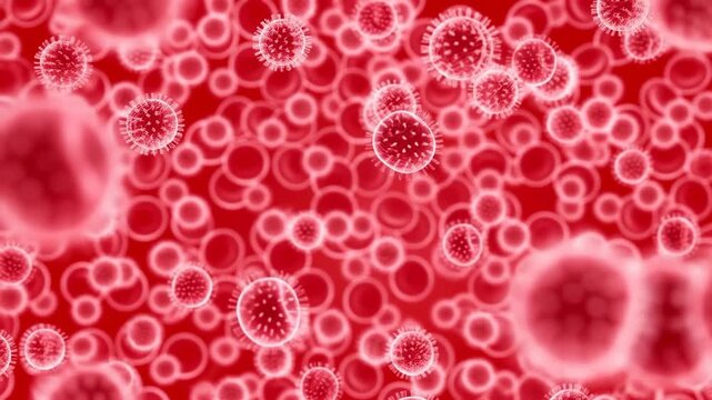 Slow motion tracking zoom of virus particles drifting among red blood cells inside human bloodstream vessel