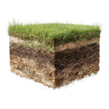 Cross section of soil and grass layer on transparent background