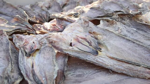 Korea Tongyeong Chudo island dried snailfish drying ocean coast seafood marine product 통영 추도 섬마을 물메기 미역어 꼼치 물곰 물텀벙 물잠뱅이 어업 통발 고기잡이 생선손질 말리기 건어물 덕장 해풍 건조 바닷가 어촌 수산물 반건조 생선 수산업 식재료