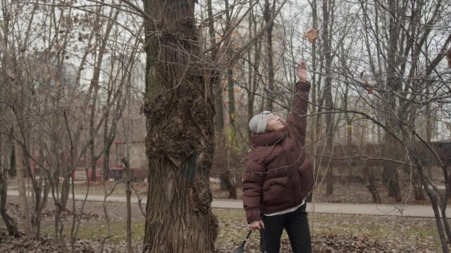 Woman examines branches in silent park setting. Woman in winter attire observes leafless trees thoughtfully. Solitary woman dressed warmly explores serene winter trees in peaceful park