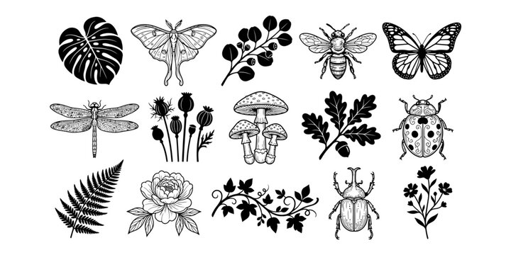 Collection of botanical and insect elements featuring a black ink silhouette isolated on transparent background silhouette