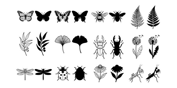 Collection of hand drawn botanical and insect elements isolated on transparent background silhouette