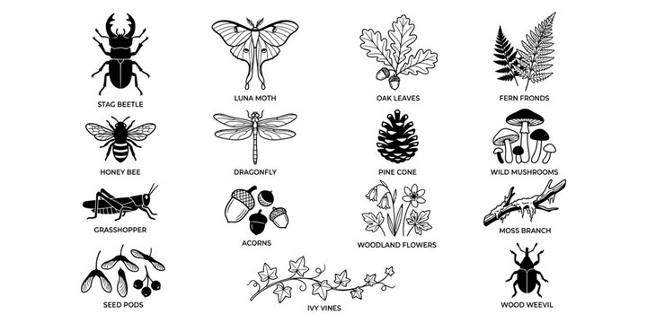 Collection of forest nature elements featuring insects and plants as a black silhouette isolated on transparent background