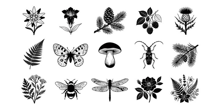 Collection of hand drawn forest nature elements isolated on transparent background silhouette