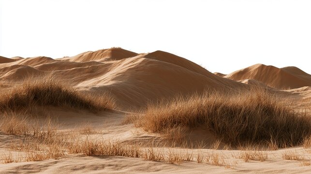 Serene desert landscape with rolling sand dunes and sparse vegetation under soft light