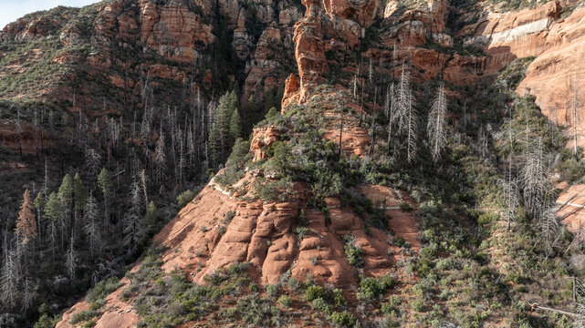 Aerial view of the rugged red rock formations and steep sandstone cliffs of Sedona, featuring sparse pine trees and arid terrain in Sedona, Arizona, United States.