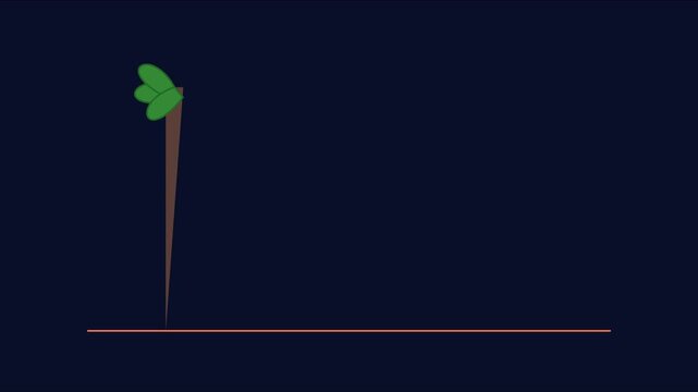 Minimalist night sky animation with glowing moon and tree silhouette, flat motion 4k