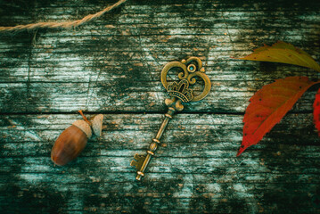 Vintage Golden Key with Acorn and Red Autumn Leaf on Wood © Ilias