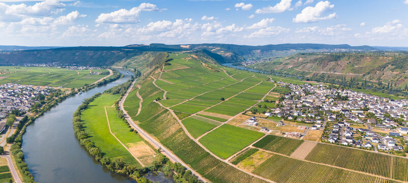 Aerial view of the Moselle valley featuring the Mosel river loop and lush green vineyards surrounding the village of Trittenheim, Trittenheim, Rhineland-Palatinate, Germany.