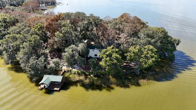 Aerial view of a house nestled among trees on a small island in a lake, featuring a wooden boat dock extending into the water in Eustis, Florida, United States.