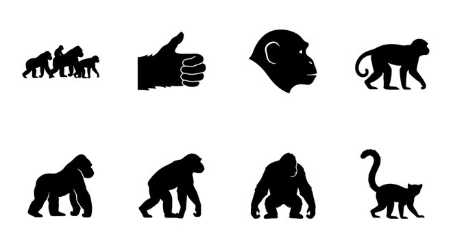 Primate Evolution Icons, Gorilla Silhouettes, Monkey Graphics, Animal Icons Set