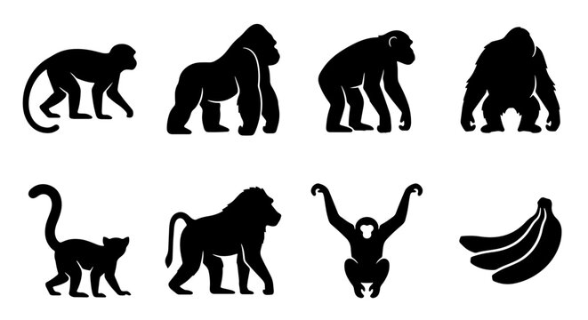 Primate Silhouettes Collection: Gorilla, Monkey, Orangutan Icons & Banana Bunch Vector Set