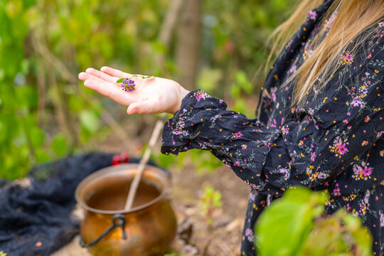 Girl in witch hat standing by cauldron, Little sorceress, daughter herbalist, fantasy witch crafting setup copper pot, Halloween preparation, Mysterious Fantasy theme spell casting, and mystical play
