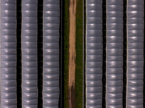 Aerial view of parallel greenhouse tunnels separated by a dirt path in Poland.