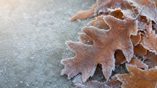 Autumn leaves covered in frost resting on a textured surface, showcasing intricate details of the leaves and the icy environment surrounding them