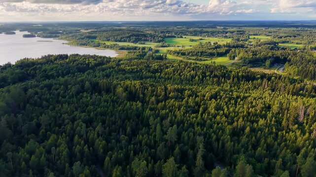 Drone view of aerial lush forest landscape with distant fields in Finland with beautiful dramatic shadows, lighting and sky. 