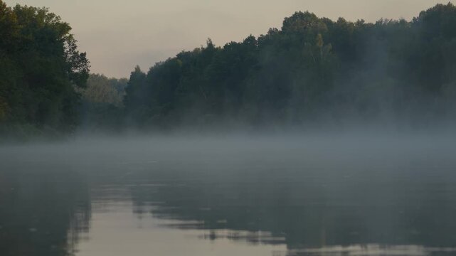 Misty morning envelops a calm lake. Trees line the distant shore. Gentle fog swirls over still water. Ideal for nature scenes or relaxation content. Captures peaceful wilderness tranquility
