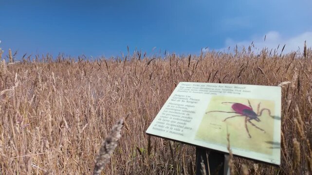 Sign shows tick danger and prevention measures for visitors entering grassy areas in Fort Bragg, Mendocino County, California.