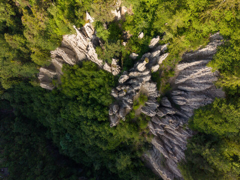Aerial view of the Earth Pyramids of Ritten surrounded by dense green forests and rocky terrain in Bolzano, Trentino-Alto Adige, Italy.
