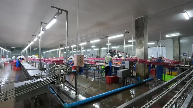 Workers process seafood in a factory in a busy environment with equipment and crates around