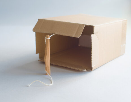 A homemade cardboard box trap is propped up by a slender stick attached to a string, resting on a light gray surface as a conceptual illustration of trapping.