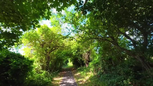 Concrete footpath covered by dense overarching foliage creating a cool shaded passage, Lancing, UK - POV VIDEO