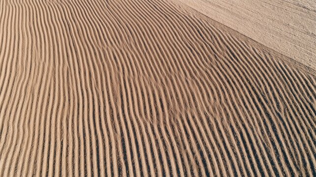 Textured Farmland with Long Parallel Plow Lines