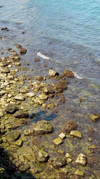 Vertical view of rocky seashore with stones covered in algae and clear shallow turquoise water along the coastline