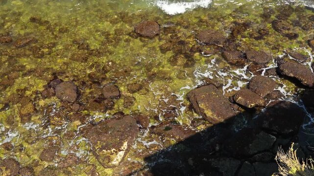 Sea waves breaking with white foam over rocky shore covered with algae and brown stones on a sunny summer day