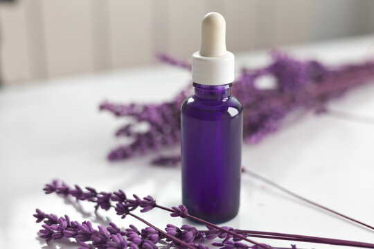 Purple dropper bottle and lavender sprigs, preparing aromatherapy essential oil for wellness