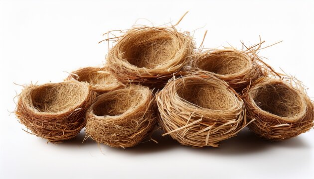 Edible Bird S Nests Isolated On White Background