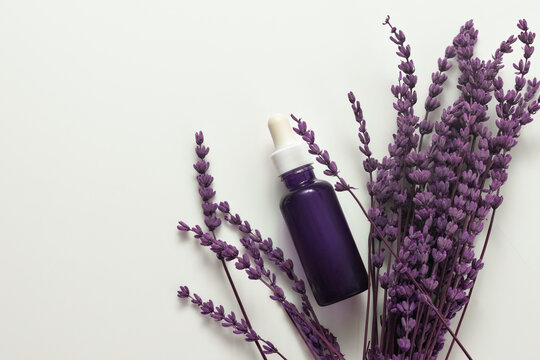 Lavender essential oil dropper bottle among dried purple flowers for aromatherapy