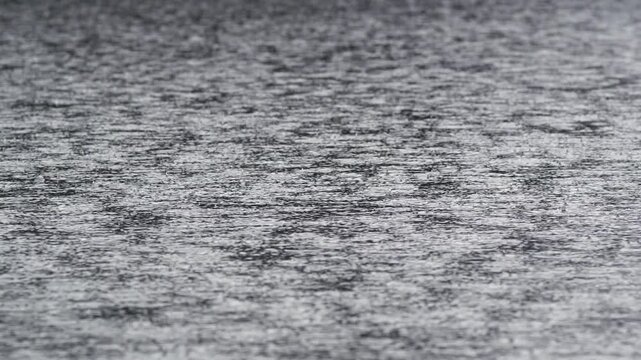 Rings formed by heavy raindrops are captured on the still surface of a lake or pond.