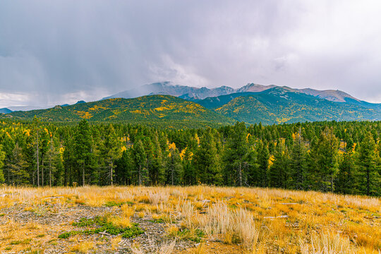 Lush pine forest frames a deep mountain valley leading to the hazy summit of Pikes Peak with scattered golden fall colors.