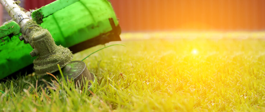 Close-up of a green grass trimmer cutting grass in a sunny backyard. Gasoline brushcutter or weed eater trimming overgrown weeds in a garden