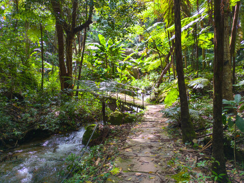 Doi Inthanon National Park Thailand