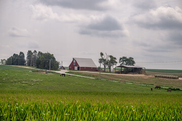 iowa countryside © mark