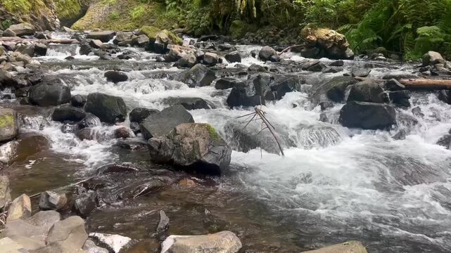 Creek and rocks - Columbia River Gorge, Oregon