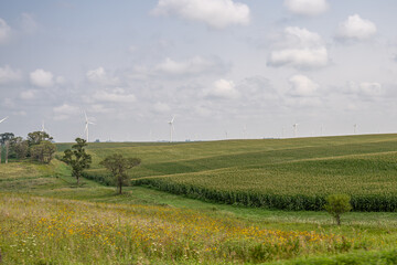 Fototapeta premium iowa countryside
