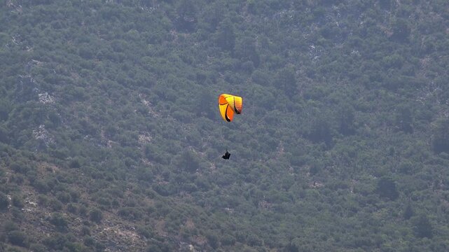 Two yellow orange Spanish paragliders glide down beside a scrub forest mountain slope.