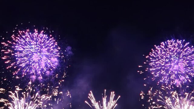 Vibrant purple fireworks bursting in the dark night sky