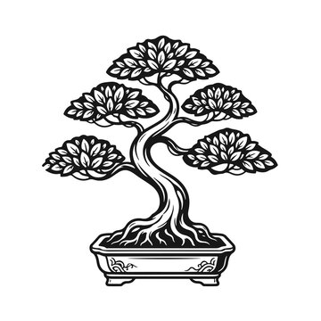 Japanese bonsai tree vector illustration in ceramic pot with curved trunk