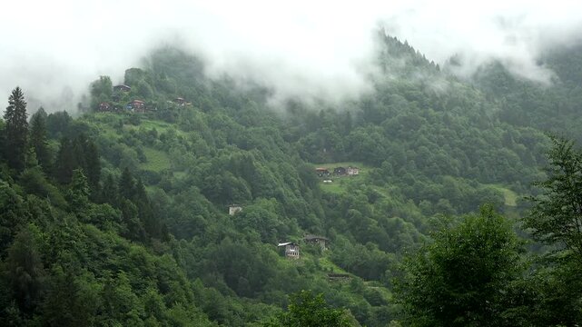 Traditional wooden village houses in fog and humid rainforest of Camlihemsin Rize Turkey.