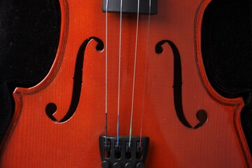 violino classico para musica orquestra  © Alexandre