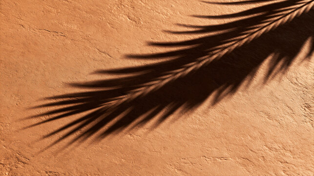 Palm Leaf Shadow on Terracotta Textured Surface Background