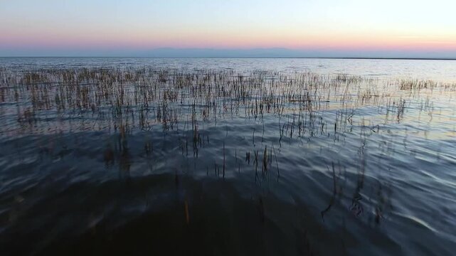 Aerial view of Nile Delta wetlands shows reeds, aquatic plants, and marsh vegetation in Egypt.
