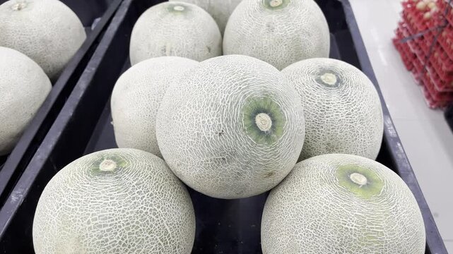 Organic Sweet Galia Melons Stacked Commercial Footage
